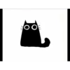 Gatitos 6