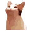 @GIFSTIKI ? POOP CAT ? ? :: 24