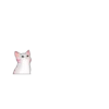 @GIFSTIKI ? POOP CAT ? ? :: 26