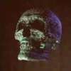Skulls and bones 💀🦴 + 3 26