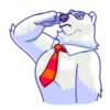 Polar Bear 8