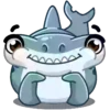 Tubarão martelo 19