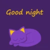 Good night