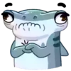 Tubarão martelo 20