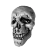 Skulls and bones 💀🦴 + 3 28