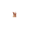 @GIFSTIKI ? POOP CAT ? ? :: 27