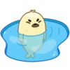 Polar Pup 5