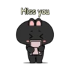 Black Bunny 5