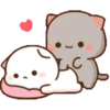 😻 Los Gatitos #12 5