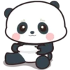 baby panda mov 5
