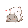 🐈 CAT LOVE ❤️ 6
