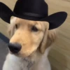 Mami, soy tu vaquero 🤠🎶 5