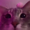 🎵 TIKTOKeando 27🎵 6