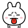 cute rabbit 2 mov 5