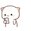 Peach & Goma Cat #3 6