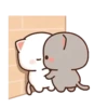 Peach & Goma Cat #2 5