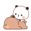 🐼BuBu and DuDu🐻(126) 6