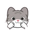 Cat Rino 1 Movi 8