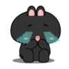 Black Bunny 9
