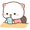 😻 Los Gatitos #12 8