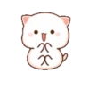 Peach & Goma Cat #3 10