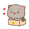 Peach & Goma Cat #3 11