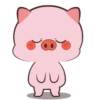 chubbi pig mov 6