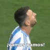 Argentina copa América 🇦🇷👊 14
