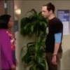 Big Bang Theory 1 9