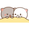 Peach & Goma Cat #2 11