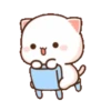 Peach & Goma Cat #3 12