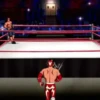 LUCHADORESANIMA 12