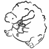 Croc 5