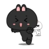 Black Bunny 11