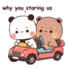 🐼BuBu and DuDu🐻(126) 14