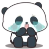 baby panda mov 17