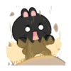 Black Bunny 12
