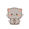 😻 Los Gatitos #13 16