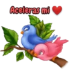 Para tí con amor 14