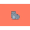 Cat 21