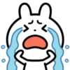 cute rabbit 2 mov 13