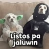 🎃 Halloween Pets 🎃 9