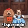🎃 Halloween Pets 🎃 10