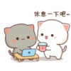 😻 Los Gatitos #06 15