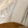 gatos tiktok 9