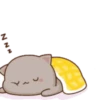 😻 Los Gatitos #09 14