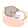 Peach & Goma Cat #2 16
