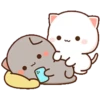 Peach & Goma Cat #3 18