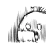 чыла