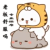 😻 Los Gatitos #07 23